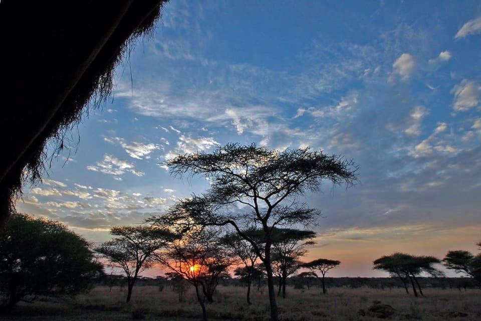 Rafiki Village Watamu Exteriér fotografie